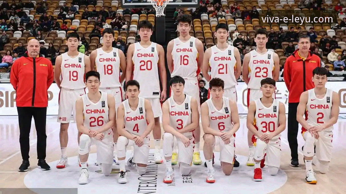 团队篮球vs个人英雄主义：上海队12连胜背后的战术解析与观赛平台选择